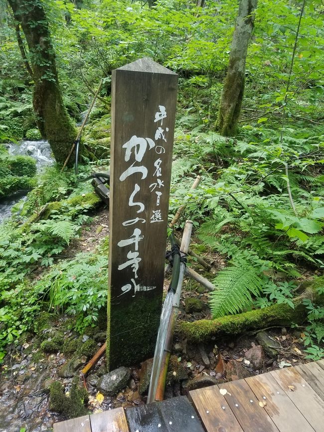 日帰りでも行けるけど今回は一泊で のんびり湯村温泉 たじま高原植物園 色々 湯村温泉 村岡 兵庫県 の旅行記 ブログ By みちおさん フォートラベル