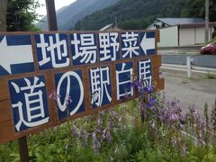 「道の駅」寄ります！