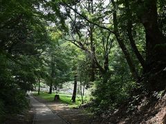 駐車場から公園内へ


佐倉城は印旛沼に面した標高30mの台地の上に地形を生かしながら築かれた城です。園内も高低差があり、また終戦までは陸軍佐倉連隊が置かれて”城らしさ”の門や櫓が取り払われてしまったので、鬱蒼とした木々の中を歩いているとまるでどこかの山へ行ったかのような気分になれるお気に入りの場所です。