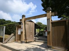 くらしの植物苑


国立歴史民俗博物館付属の小さな「くらしの植物苑」は文字通り暮らしに直結する植物が植えられていて、伝統的に食べられてきた雑穀や漢方に使われる薬草などを見ることができます。
日常ではよく知っているのに植物としての姿を知らなかったものが沢山あり、程よく小さく周れて、ここもお気に入りの場所のひとつです。

開苑時間：9:30-16:30
休苑日：月曜日
入苑料：（大学生以上）100円
https://www.rekihaku.ac.jp/exhibitions/plant/index.html
