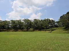 本丸跡


野球場ぐらい広い芝生地