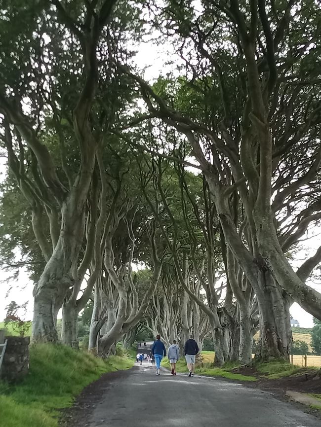 8月の北アイルランド旅行 北アイルランド イギリス の旅行記 ブログ By Yukaさん フォートラベル 8月の北アイルランド旅行 北アイルランド イギリス の旅行記 ブログ By Yukaさん フォートラベル