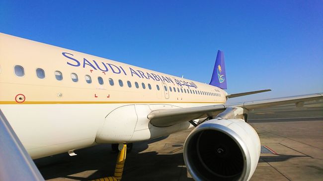 天空のレストラン 中東の航空会社 エアアラビア ミドルイースト ガルフ イラン サウディア ペガサス バーレーンの旅行記 ブログ By Worldspanさん フォートラベル