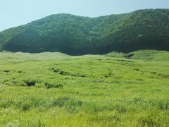 バスの窓からススキ草原。
青々として清々しい。