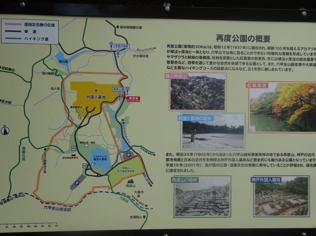 年8月 六甲山 再度公園内の神戸市営外国人墓地を案内して頂き 森林植物園を見学します 六甲山 摩耶山周辺 兵庫県 の旅行記 ブログ By 愛猫シロネコさん フォートラベル