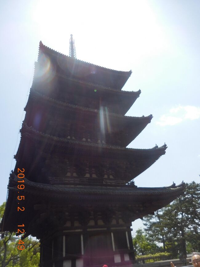 2019年GW奈良和歌山を巡る3泊4日旅（1－2日目:奈良公園/和歌山城