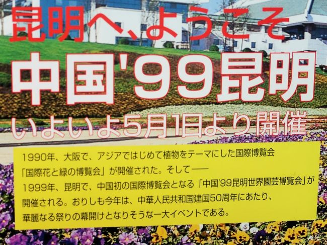 中国1999・雲南-4 昆明 昆明世界園芸博覧会 EXPO見学 ☆人と自然