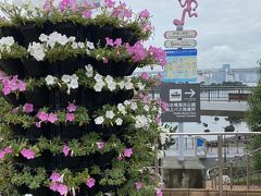 雨の中、ひとつ用事を済ませて
お台場まで来た時には雨は上がりました。
お台場海浜公園展望デッキに寄ってみました。