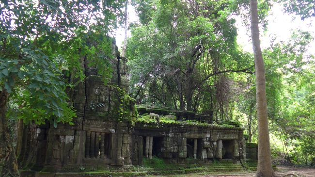 ２２＜苔むす遺跡＞<br />建物全体が緑がかって見える祠堂があった。いろんな樹木や草、苔などが建物を侵食しつつも建物の崩壊を食い止めている。