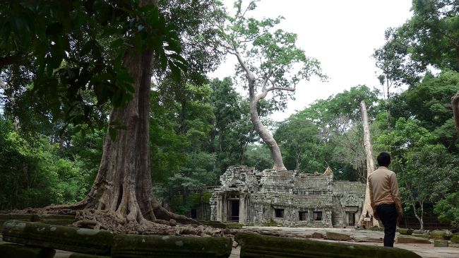 ２３＜遺跡から生える巨木＞<br />「うわっ、すごい」。<br />スポアンが、遺跡の屋根を突き破って上に伸びているようにみえる。<br />