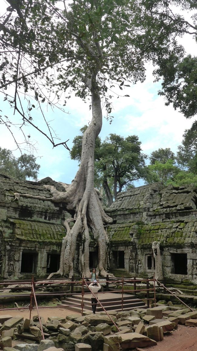 ２４＜ブラキオサウルス＞<br />まるで、ジュラシックパークに出てくる「ブラキオサウルス」が、遺跡に足をかけ伸び上がっているように見える。<br />これは「イチオシ」でしょう。