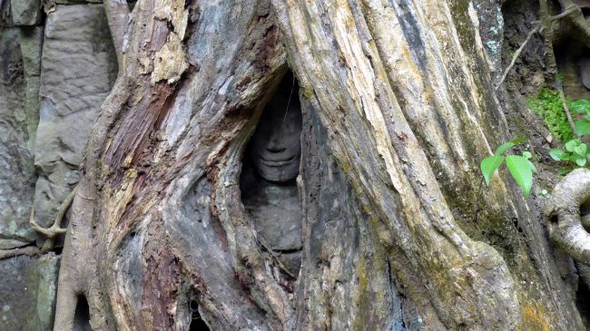 ２８＜微笑むデヴァター＞<br />タ・プロームには、いろいろ撮影スポットがある。<br />この「スポアンの奥から微笑むデヴァター」もその一つ。<br />そういえば、タイのアユタヤでも同じような仏像を見たなぁ。