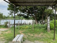 川岸には細川たかしの歌で有名な矢切の渡しがありました。
今でも渡し舟があって対岸に行くことが出来ますが、県を跨いでしまうので今回はパスしました。