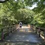 大正屋椎原山荘で夏の温泉を愉しむ