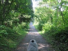 五色沼自然探勝路