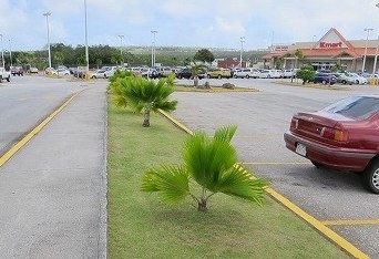 やっとKマートが見えてきました！