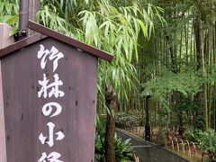 竹林の小径です。伊豆半島にも修善寺にも何度も来ていたのに、ここに来たのは初めてでした。小雨が降っていたので、余計に風情があります。