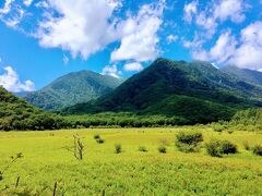 夏空の下、若草色の小田代が原