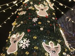 ヴァーツラフ広場→旧市街広場へ。
この季節はまだクリスマスが残ってていいー♪
おっきなツリー。ヨーロッパに来たんやなー