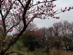 師岡熊野神社の南側の熊野神社市民の森 