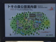 まだ時間もありそうなんで、昨日宿に向かう途中で看板見かけた「トキの森公園」に立ち寄り！