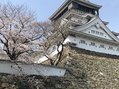 少し時間があったので、小倉城に寄り道。桜は五分咲きです。

