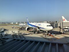 父のマイルでANA♪
久々に伊丹空港から乗りました。
