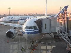 北京から羽田まで連れてきてくれた中国国際航空のエアバス A330-200 。