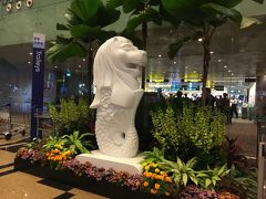 シンガポール チャンギ国際空港 (SIN)