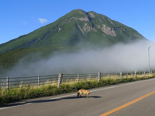 知床一人旅 斜里 北海道 の旅行記 ブログ By ｎ ピロシキさん フォートラベル