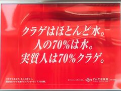 あの日の朝、電車内で目にしたすみだ水族館のメッセージ広告はなかなかユニークで独創的。
感染症の蔓延に疲れ厳しい顔付きで乗り込んで来る乗客達が、車両内の壁や吊られた広告に気がつき、そのほんわかしたメッセージに気がつくと、ふっとその表情が和らぐ、そんな効果を持っていた。

水族館の発したメッセージは数多くあり、全ては覚えていないが、こんな感じ↓↓↓
・クラゲは決してあなたを否定しない
・可愛いいきものはたくさんいるけれど　クラゲは泣ける
・Jelly FishのJeでもう好き
・クラゲは裏切らない
・目の前にクラゲがいる　それは春の朝みたいに幸福なこと
・クラゲを見て　クラゲ以外は後で見て
・三文字の日本語の中で　クラゲが一番かわいい
・美って漢字、クラゲに似ているね
・クラゲは愛、クラゲは未来

その中でも、私が一番インパクトを受けたのが写真に挙げたメッセージで、
【クラゲはほとんど水。人の70％は水。実質人は70％クラゲ】
というモノ。
コレをみて“あぁ、そうか。ワタシ、クラゲなんだ･･･。と妙に納得。

久しぶりに友達に会いに行くか･･･。
そんな気分になった。