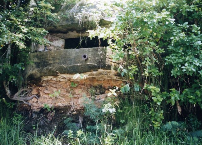 アイスボックス・パークに行く途中にトーチカ発見。