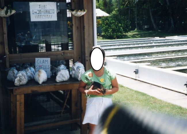 シャコガイの貝殻を売っていました。ここではシャコガイの養殖もしています。ここで買った貝殻でないと持ち出せません。<br />猫もいました。