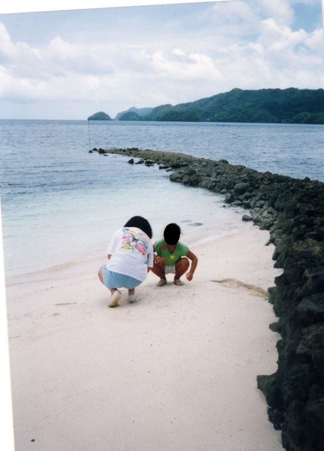 昼食をとったマラカル・セントラルホテルにはほんの少しですがビーチがありました。基本的にはコロールやアラカベサンなどのホテルのある島には自然のビーチはなく、人工ビーチのはずです。