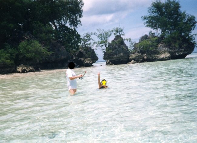水底が透き通って見えます。