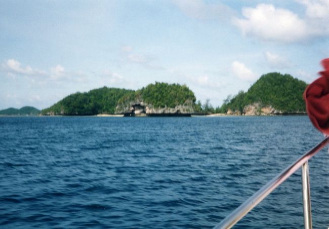 マッシュルーム状になっています。