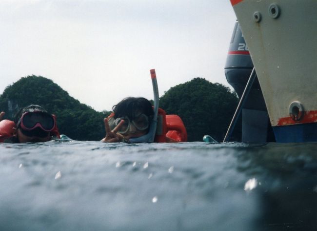 雨が降っていますが、海の中では平気。
