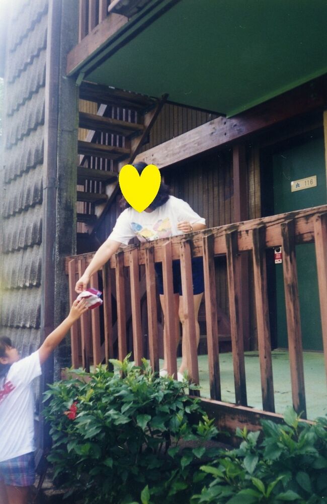 ホテルの客室はこんな作りです。2階建てです。