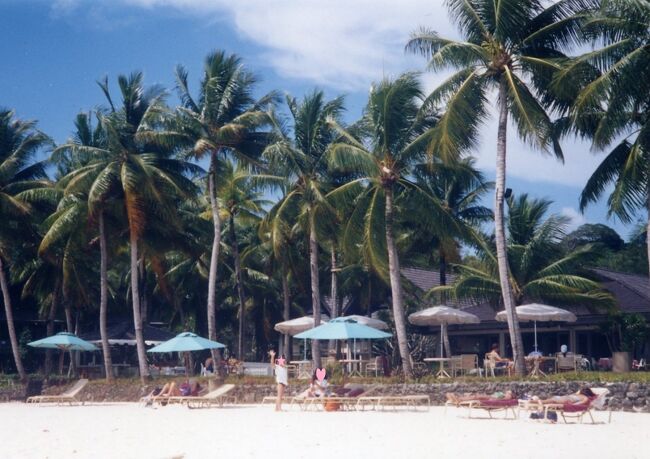 青い空にヤシの木。