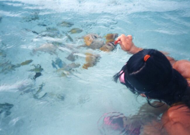 透明度が素晴らしい。