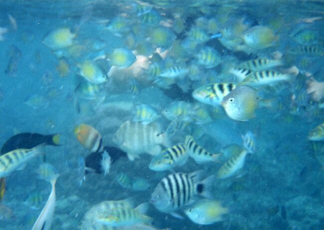 こんな感じになってしまいます。