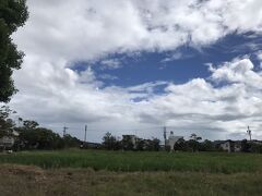 稲を育てています。
天気が良ければ富士山が見える、場所もあるはずです。