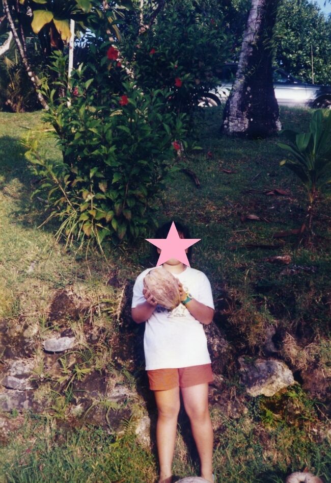 椰子の実を一個拾ってみました。