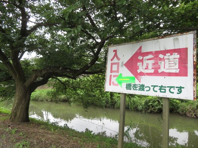 車デビューの梅雨時の東武動物公園 前編 レッサーパンダの源太くんとカリンちゃんからふれあい動物の森と わとと でレッサー グッズの買い物まで 蓮田 白岡 埼玉県 の旅行記 ブログ By まみさん フォートラベル