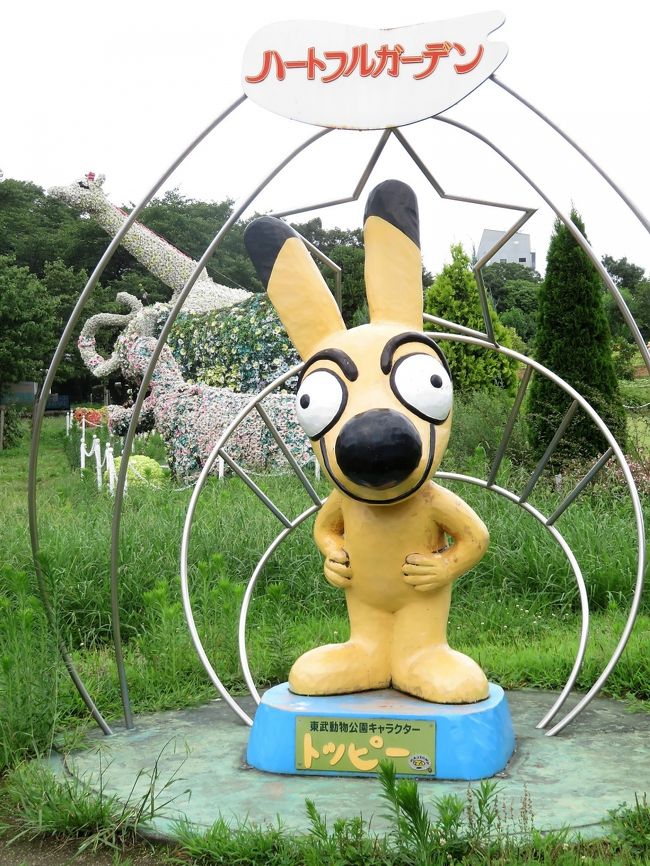 車デビューの梅雨時の東武動物公園 前編 レッサーパンダの源太くんとカリンちゃんからふれあい動物の森と わとと でレッサー グッズの買い物まで 蓮田 白岡 埼玉県 の旅行記 ブログ By まみさん フォートラベル 車デビューの梅雨時の東武動物公園 前編 レッサーパンダの源太くんとカリンちゃんからふれあい動物の森と わとと でレッサー グッズの買い物まで 蓮田 白岡 埼玉県 の旅行記 ブログ By まみさん フォートラベル