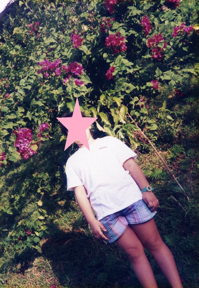 ホテルの敷地には花も多く、ブーゲンビリアが咲いていました。