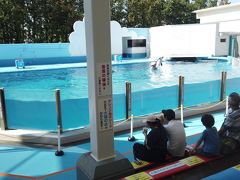 新潟市水族館 マリンピア日本海