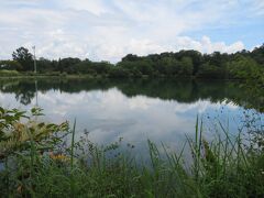 駒が池。

公園の中の池という感じですが、風がなかったこともあり静かで落ち着いた雰囲気でした。