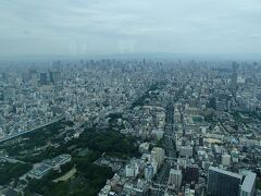 展望台に上がって、大阪の街並みをちょんたさんに色々紹介しました。

こちらは北方向です。
手前に天王寺公園、向こうには梅田のビル群が見えています。
