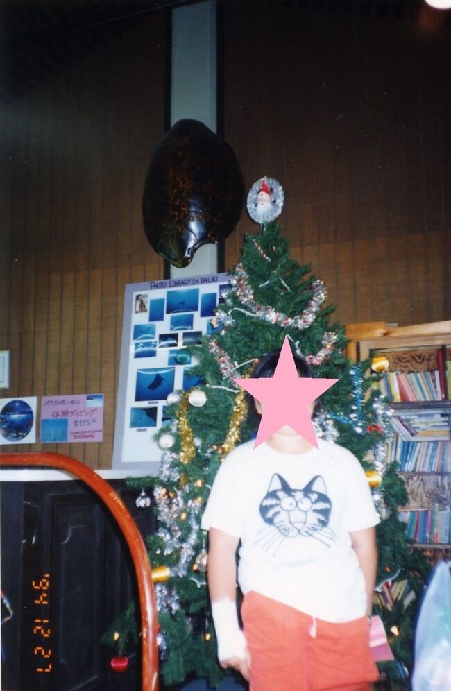 ニッコーパラオのフロントロビー。クリスマスバージョンです。